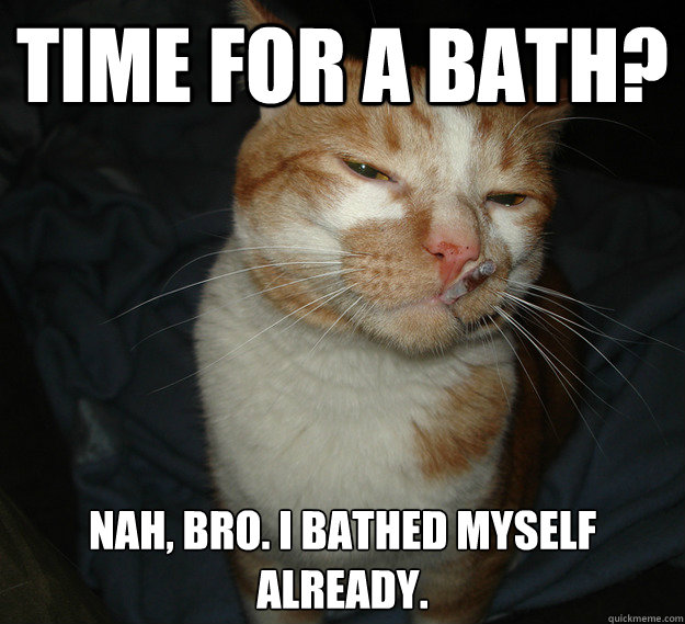 Time for a bath? Nah, bro. I bathed myself already.  Cool Cat Craig