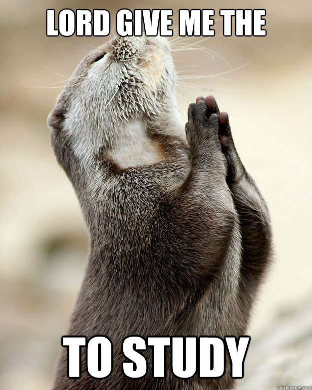 lord give me the strength to study - lord give me the strength to study  Otter praying