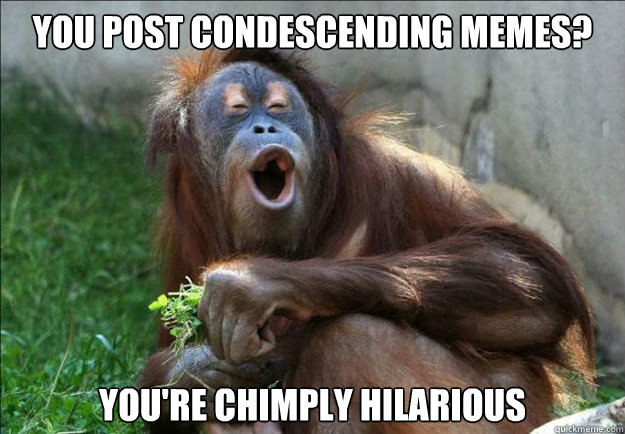 You post condescending memes? You're chimply hilarious - You post condescending memes? You're chimply hilarious  Harangutan
