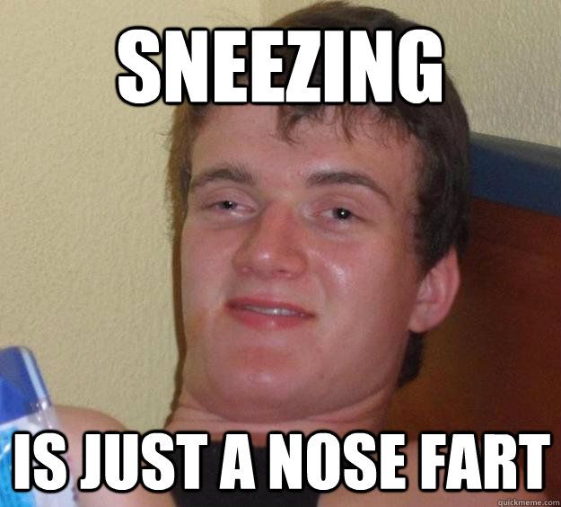 Sneezing is just a nose fart  10 Guy