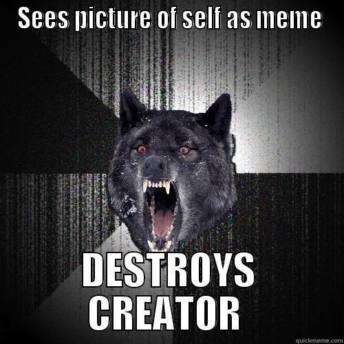 SEES PICTURE OF SELF AS MEME DESTROYS CREATOR  Insanity Wolf