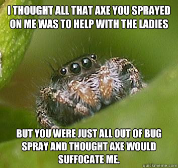 I thought all that axe you sprayed on me was to help with the ladies But you were just all out of bug spray and thought axe would suffocate me.  - I thought all that axe you sprayed on me was to help with the ladies But you were just all out of bug spray and thought axe would suffocate me.   Misunderstood Spider
