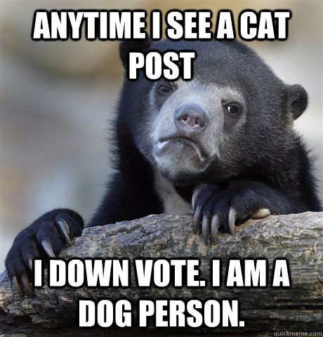 Anytime I see a cat post I down vote. I am a dog person.  Confession Bear