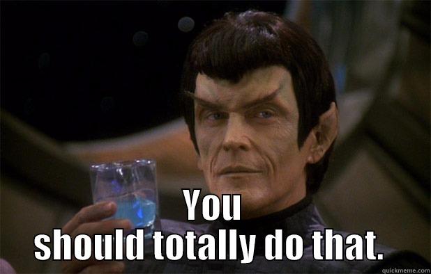  YOU SHOULD TOTALLY DO THAT.  Misc