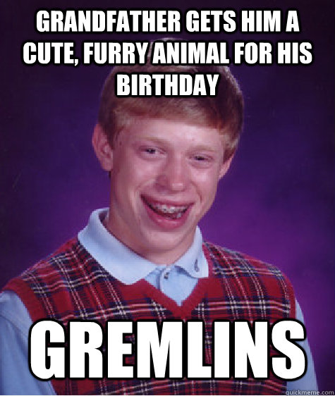 Grandfather gets him a cute, furry animal for his birthday GREMLINS  Bad Luck Brian