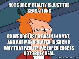Not sure if reality is just the sensations or we are just a brain in a vat, and are manipulated in such a way that reality we experience is not truly real.  Meme