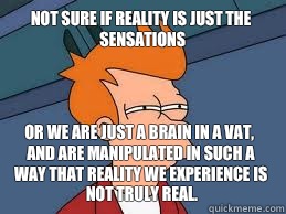 Not sure if reality is just the sensations or we are just a brain in a vat, and are manipulated in such a way that reality we experience is not truly real.  Meme