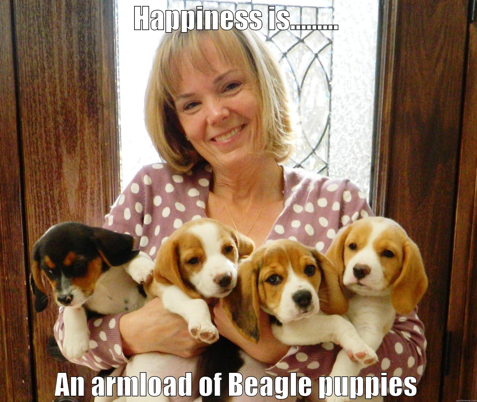 Beagle family - HAPPINESS IS......... AN ARMLOAD OF BEAGLE PUPPIES Misc