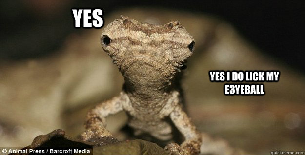 YES YES I DO LICK MY E3YEBALL - YES YES I DO LICK MY E3YEBALL  Misc