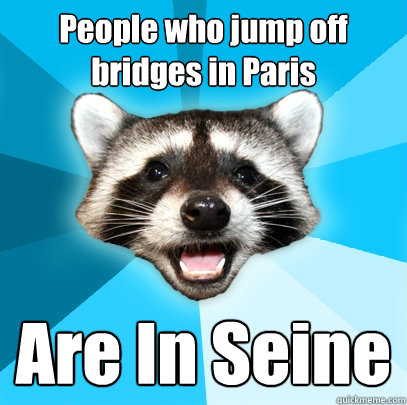 People who jump off bridges in Paris Are In Seine  Lame Pun Coon