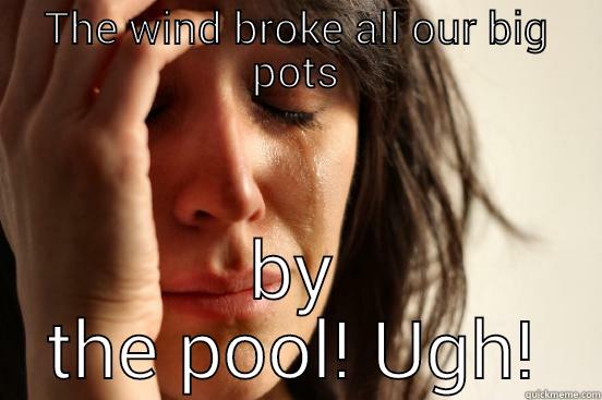 THE WIND BROKE ALL OUR BIG POTS BY THE POOL! UGH! First World Problems