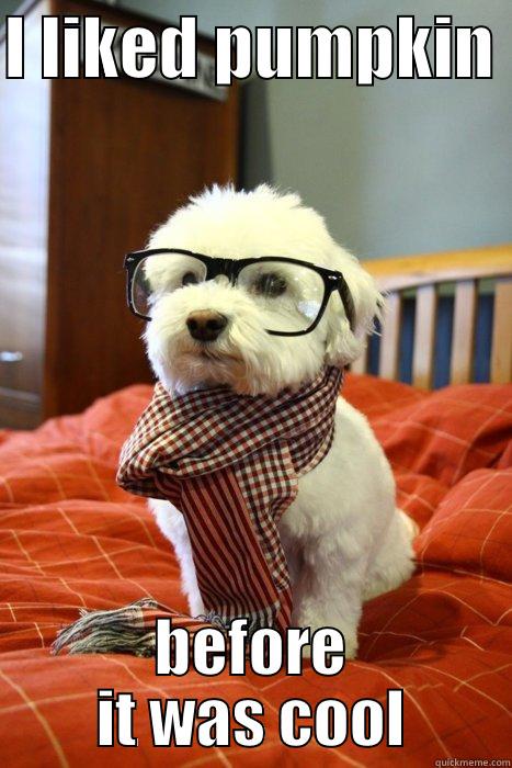 I LIKED PUMPKIN  BEFORE IT WAS COOL Hipster Dog