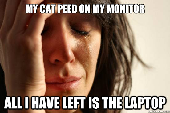 My cat peed on my monitor All i have left is the laptop - My cat peed on my monitor All i have left is the laptop  First World Problems