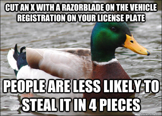 cut an x with a razorblade on the vehicle registration on your license plate people are less likely to steal it in 4 pieces  Actual Advice Mallard