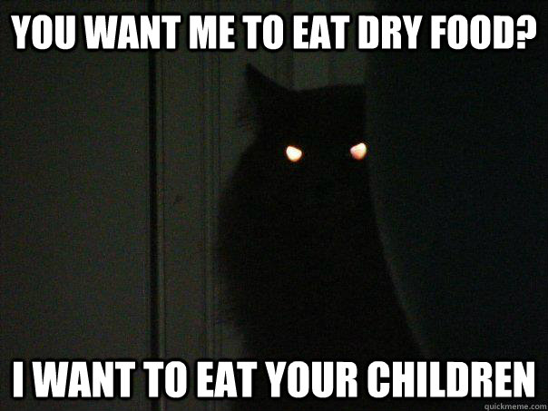 You want me to eat dry food? I want to eat your children  Angry Cat