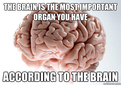 The brain is the most important organ you have according to the brain - The brain is the most important organ you have according to the brain  Scumbag Brain