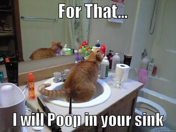 CAt Poop -                   FOR THAT...                     I WILL POOP IN YOUR SINK    Misc