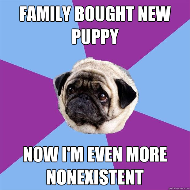 Family bought new puppy Now I'm even more nonexistent    Lonely Pug