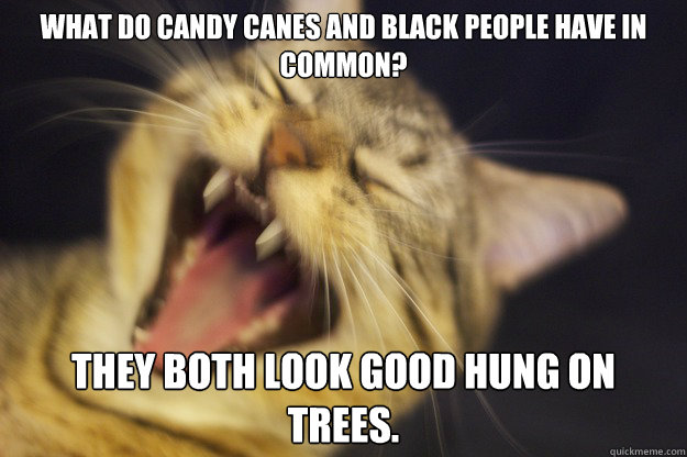 what do candy canes and black people have in common? they both look good hung on trees. - what do candy canes and black people have in common? they both look good hung on trees.  Evil Joke Cat