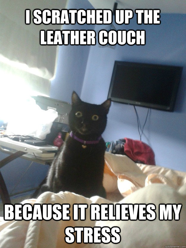 i scratched up the leather couch because it relieves my stress  overly attached cat