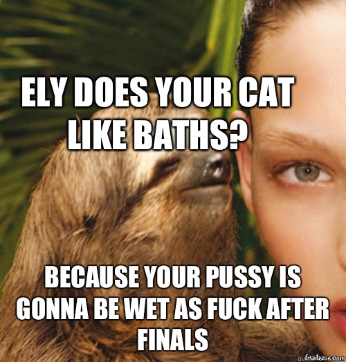 Ely does your cat like baths? Because your pussy is gonna be wet as fuck after finals   rape sloth