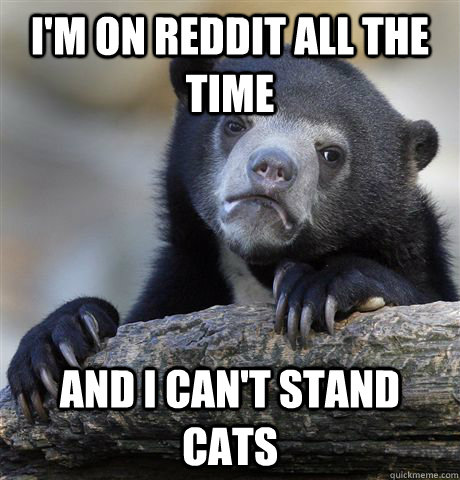 I'm on reddit all the time and i can't stand cats  Confession Bear