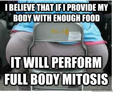 I believe that if i provide my body with enough food it will perform full body mitosis - I believe that if i provide my body with enough food it will perform full body mitosis  Ironic fatguy
