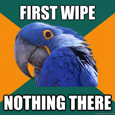 First Wipe Nothing There  Paranoid Parrot