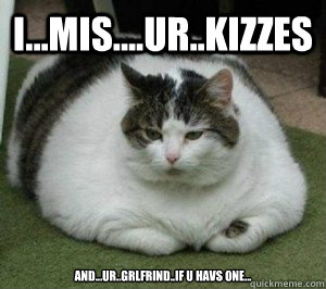 I...mis....ur..KIZZES and...ur..grlfrind..if u havs one...  Fat Cat