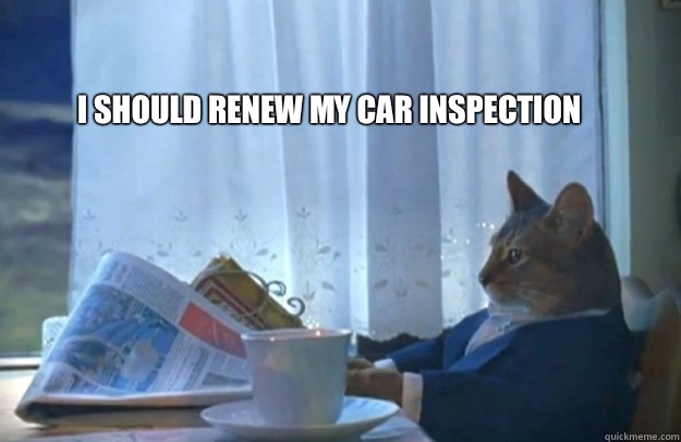 I should renew my car inspection  Sophisticated Cat