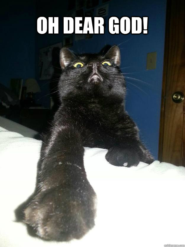 OH DEAR GOD! - OH DEAR GOD!  Oh Dear God Cat