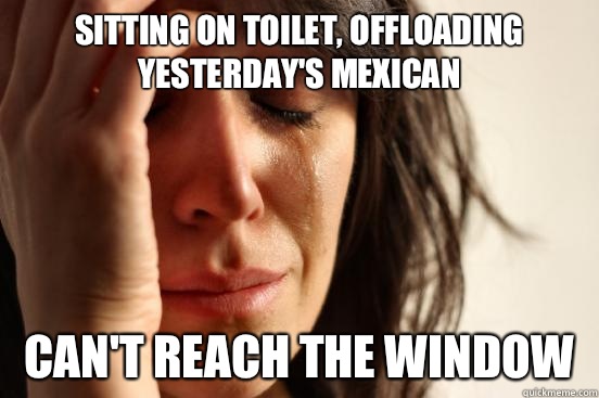 Sitting on toilet, offloading yesterday's Mexican  Can't reach the window  First World Problems