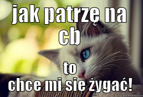 JAK PATRZĘ NA CB TO CHCE MI SIĘ ŻYGAĆ! First World Problems Cat