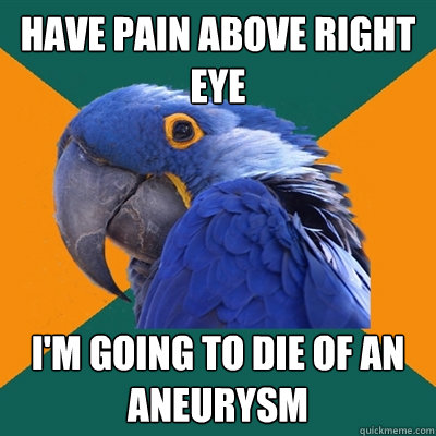 have pain above right eye i'm going to die of an aneurysm   Paranoid Parrot