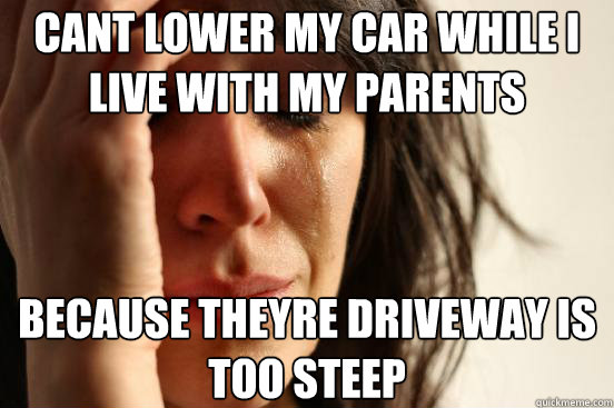cant lower my car while i live with my parents because theyre driveway is too steep   First World Problems