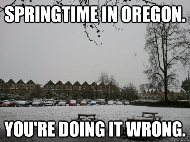 SPRINGTIME IN OREGON. YOU'RE DOING IT WRONG.  