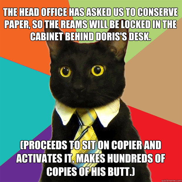 The head office has asked us to conserve paper, so the reams will be locked in the cabinet behind Doris's desk. (Proceeds to sit on copier and activates it, makes hundreds of copies of his butt.)  Business Cat