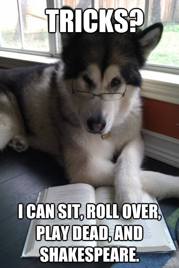 Tricks? I can sit, roll over, play dead, and Shakespeare.  Condescending Literary Pun Dog