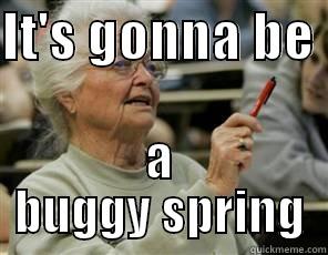 Gnat Lady - IT'S GONNA BE  A BUGGY SPRING Senior College Student