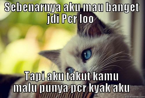 SEBENARNYA AKU MAU BANGET JDI PCR LOO  TAPI AKU TAKUT KAMU MALU PUNYA PCR KYAK AKU First World Problems Cat