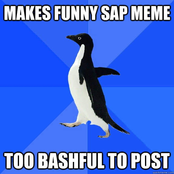 makes funny sap meme too bashful to post  Socially Awkward Penguin