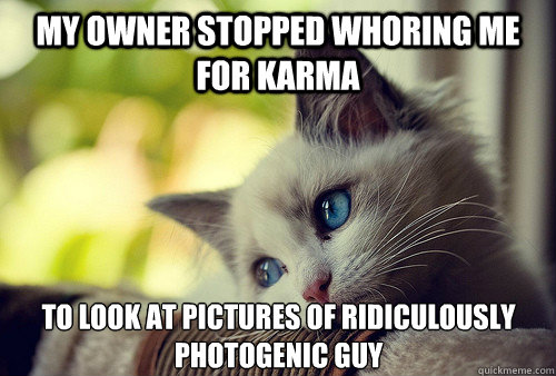 MY OWNER STOPPED WHORING ME FOR KARMA TO LOOK AT PICTURES OF RIDICULOUSLY PHOTOGENIC GUY  First World Cat Problems