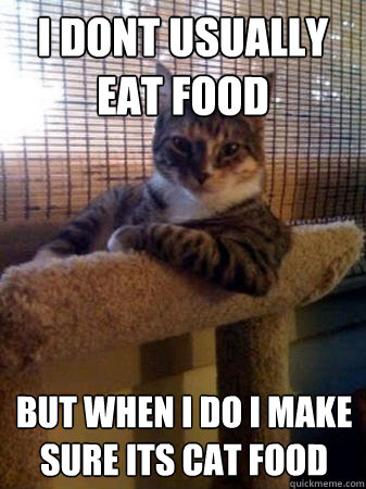 i dont usually eat food but when i do i make sure its cat food  The Most Interesting Cat in the World