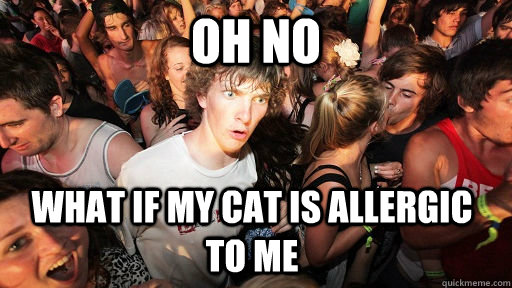 Oh no What if my cat is allergic to me  Sudden Clarity Clarence