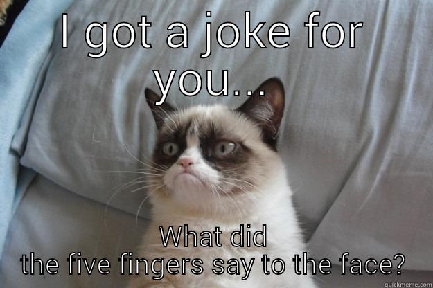 I GOT A JOKE FOR YOU... WHAT DID THE FIVE FINGERS SAY TO THE FACE? Grumpy Cat