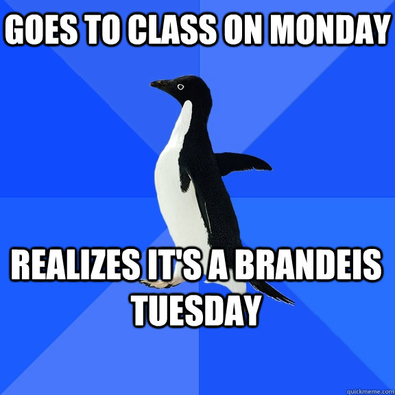 Goes to class on Monday Realizes it's a Brandeis Tuesday    Socially Awkward Penguin