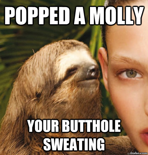 popped a molly your butthole sweating  rape sloth