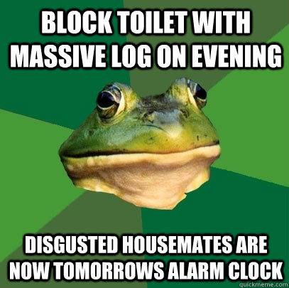 Block toilet with massive log on evening disgusted housemates are now tomorrows alarm clock  Foul Bachelor Frog