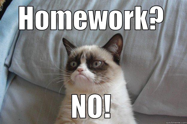 HOMEWORK? NO! Grumpy Cat