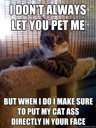 I don't always let you pet me But when I do I make sure to put my cat ass directly in your face  The Most Interesting Cat in the World